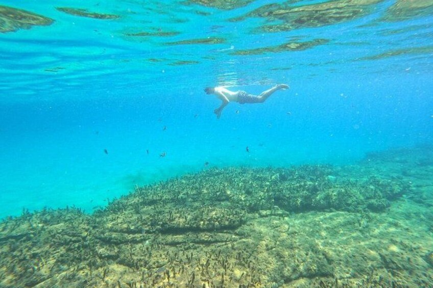 Private Snorkeling Adventure with Transportation 3