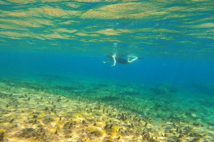 Private Snorkeling Adventure with Transportation 4