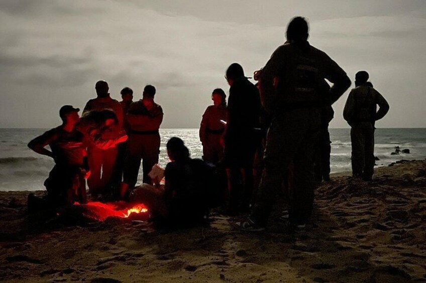 Turtle Watching Experience in Boa Vista (3-Hour) 2