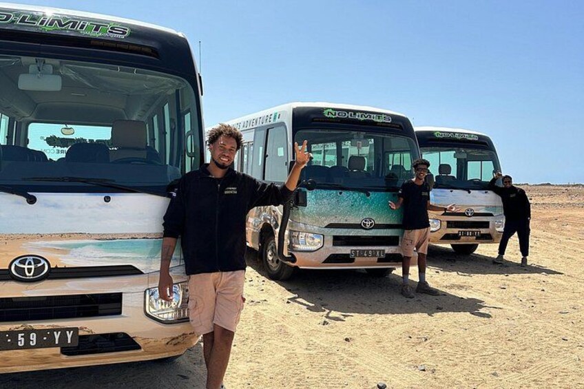 Turtle Watching Experience in Boa Vista (3-Hour) 3