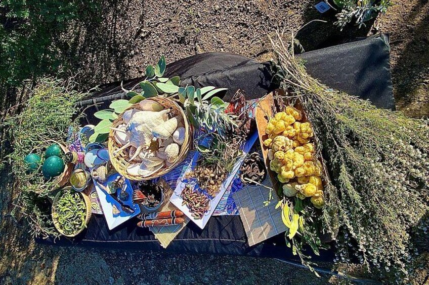 Un pique-nique avec de la nourriture, un panier et une couverture, installé en plein air. 2