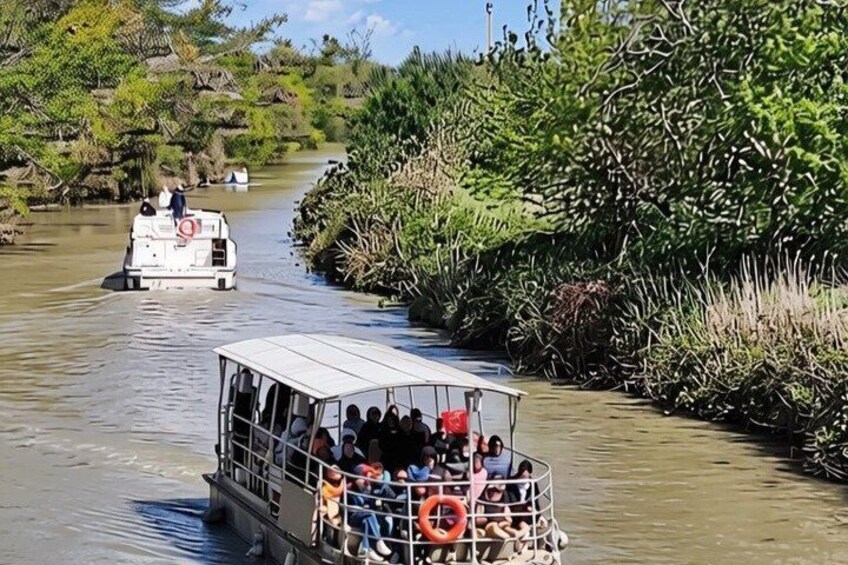 A river with boats and dense vegetation along the banks. 5