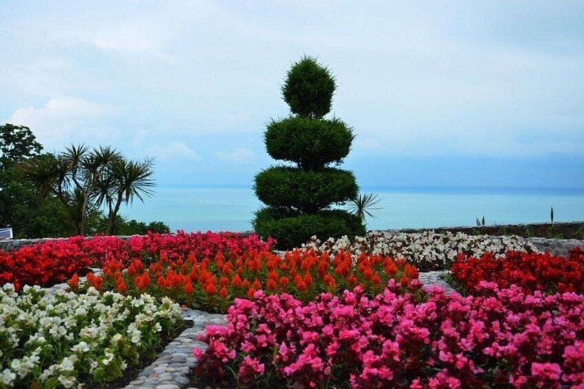 Batumi City Botanical Garden Petra Fortress From Kutaisi 3