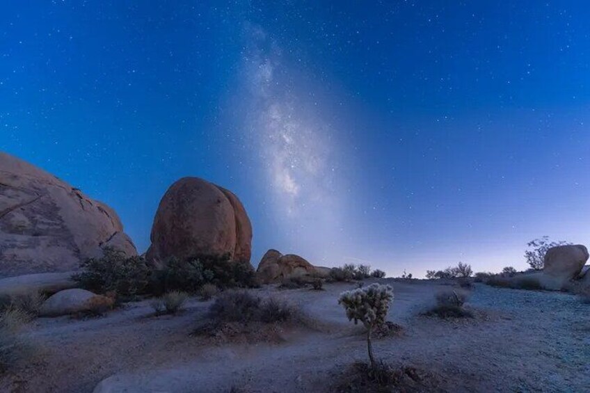 A desert landscape with large boulders and sparse vegetation under a starry night sky. 1