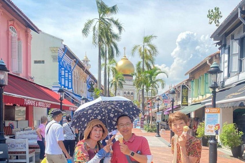 Singapore city tour 1