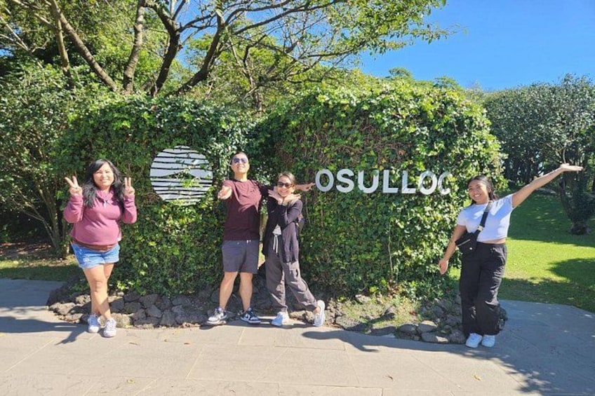Four people posing in front of a hedge with a circular sign. 3