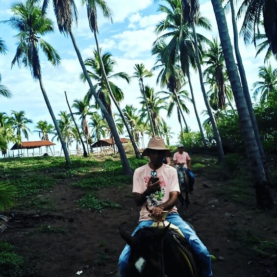 Picture 1 for Activity Ixtapa: Horseback Riding Tour Along Playa Larga 3