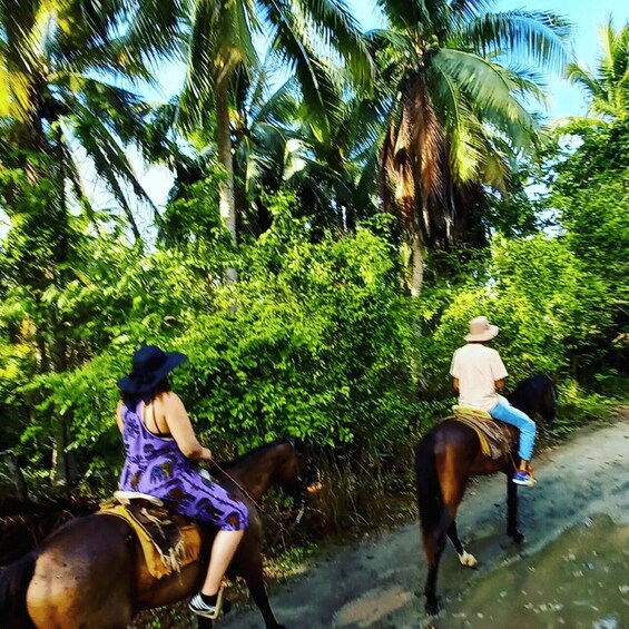 Picture 2 for Activity Ixtapa: Horseback Riding Tour Along Playa Larga 2