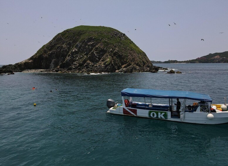 Picture 5 for Activity Zihuatanejo: Exclusive Coastal Diving Adventure 3