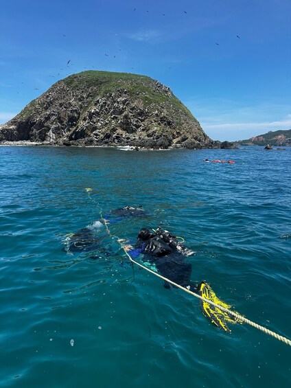 Picture 3 for Activity Zihuatanejo: Exclusive Coastal Diving Adventure 5