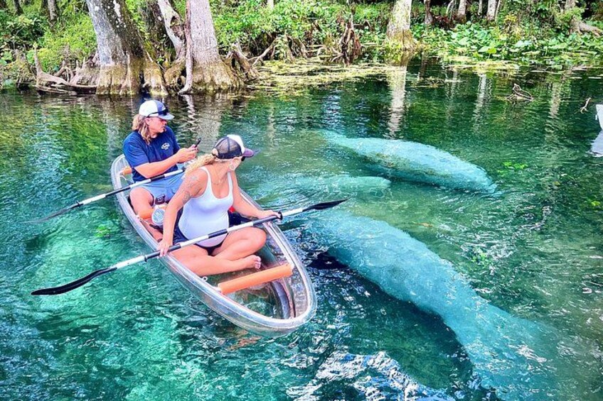Dos personas en una canoa sobre aguas claras con vida acuática visible. 1