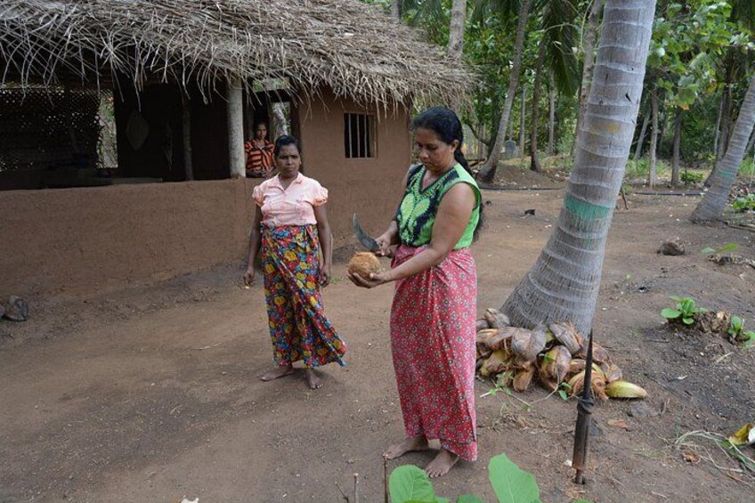 Two women in traditional attire, one holding a coconut, standing in a rural setting with a thatched-roof hut and palm trees in the background. 3