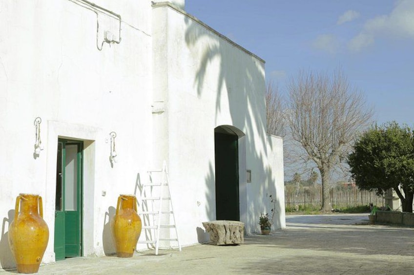 Un edificio bianco con due grandi vasi, una porta verde e una scala appoggiata. 5
