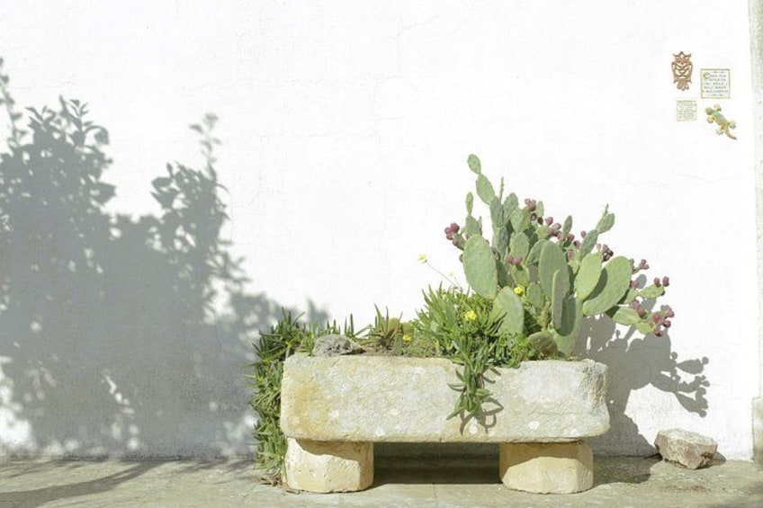 Un vaso in pietra con cactus e piante grasse, su uno sfondo di un muro bianco. 4