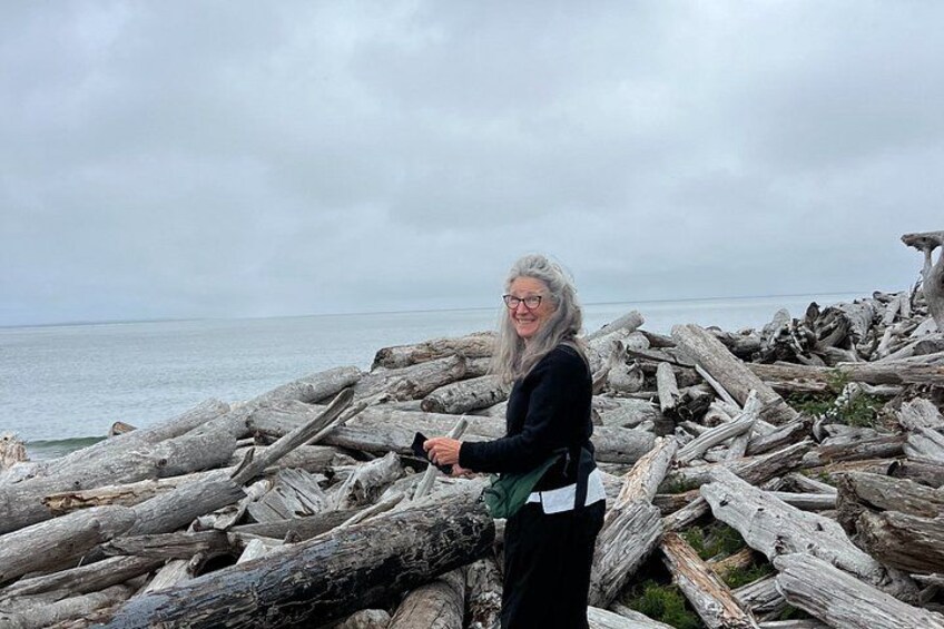 A person standing on driftwood by the sea. 3