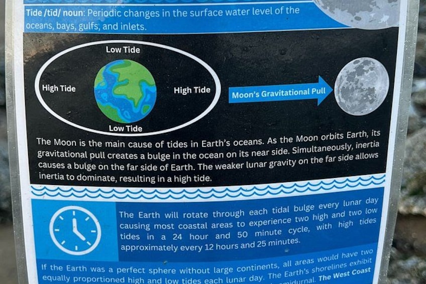 A tide chart explaining the effect of the Moon's gravitational pull on Earth's tides. 2
