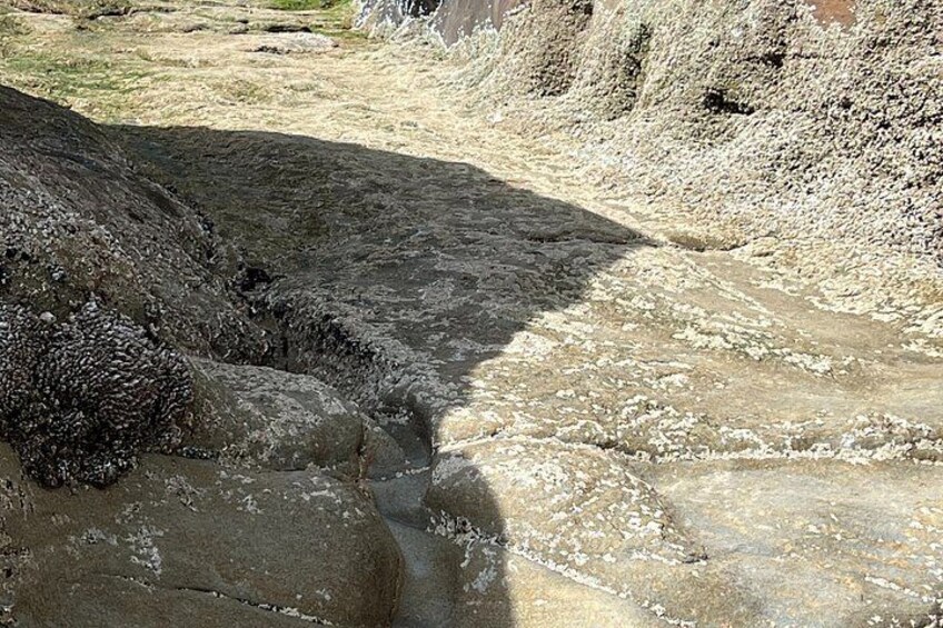 A rocky terrain with a narrow water channel flowing through it. 2