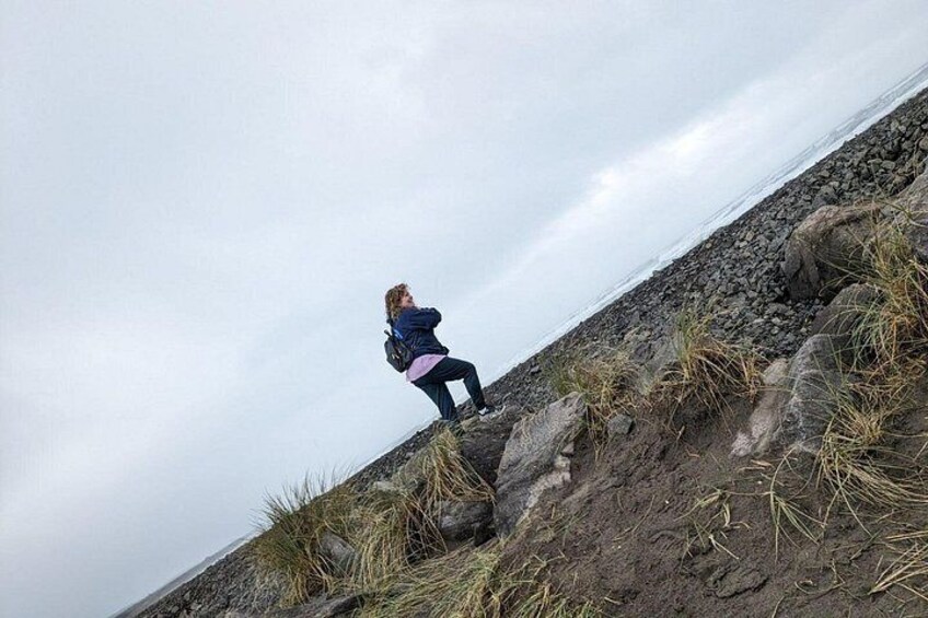 Explore the beach and find hidden treasures! 3