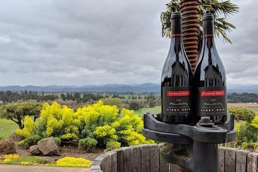 Two bottles of wine on a stand with a rural landscape in the background. 2