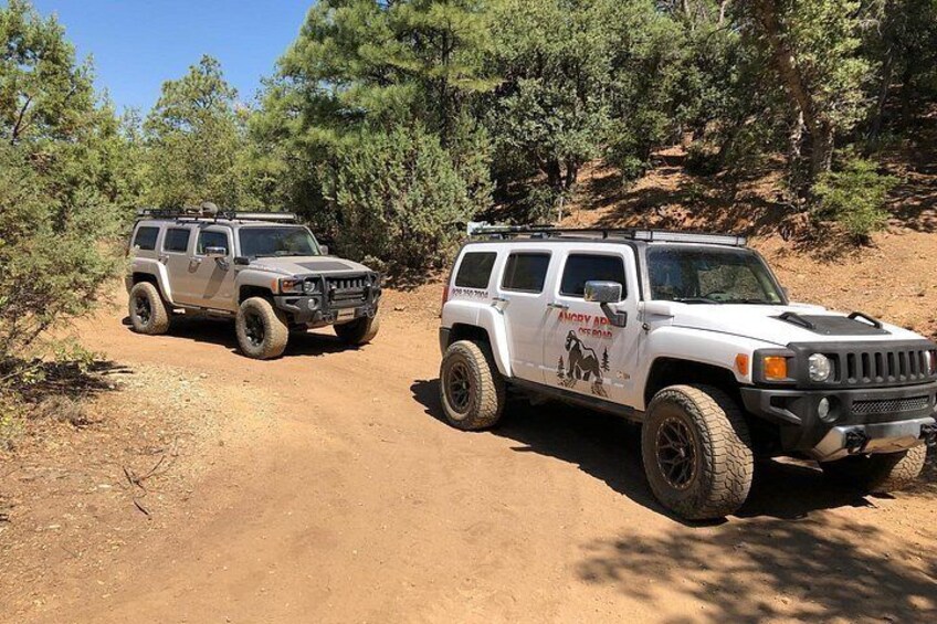 Two off-road vehicles on a dirt trail surrounded by trees. 1