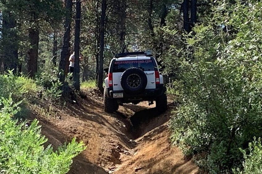 Private Off Road Adventure Tours in the Prescott National Forest 4