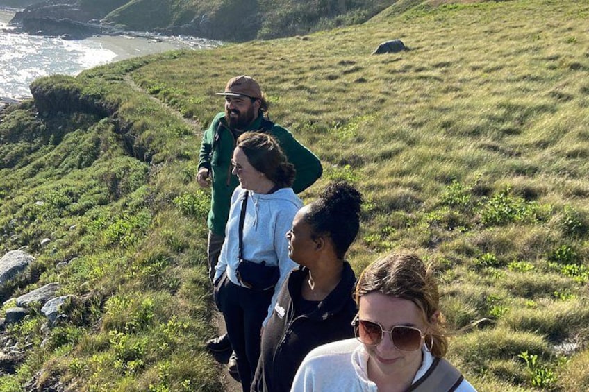 Un grupo de personas caminando por una ladera cubierta de hierba, con una costa al fondo. 2