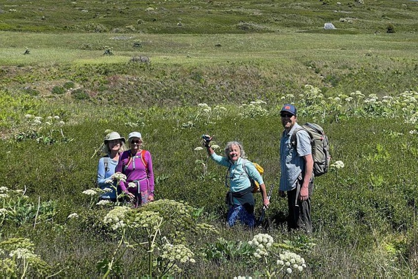 Un grupo de personas caminando por un campo cubierto de hierba y flores silvestres. 1
