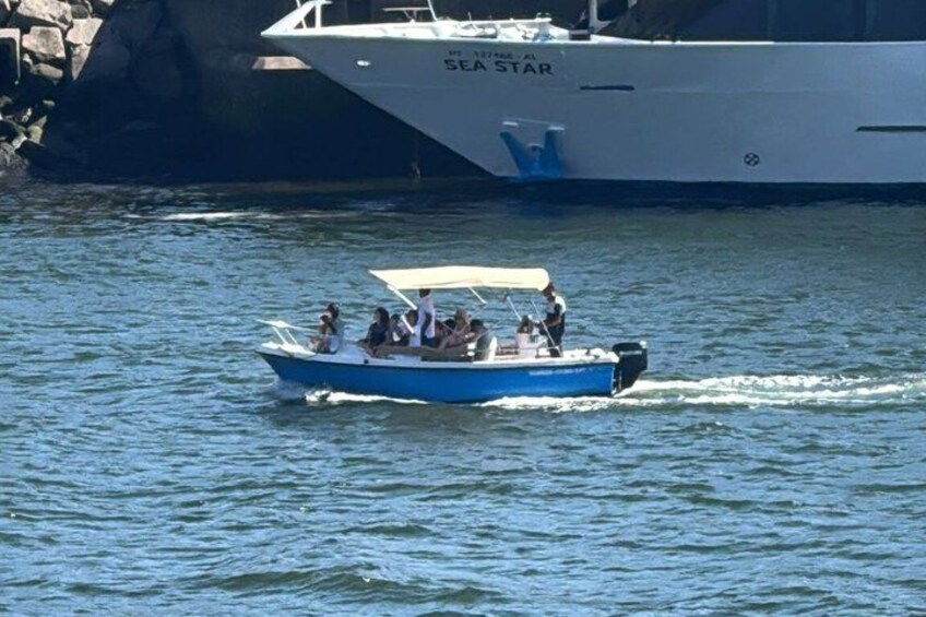 Porto:Douro River Boat tour under the 6 bridges 3