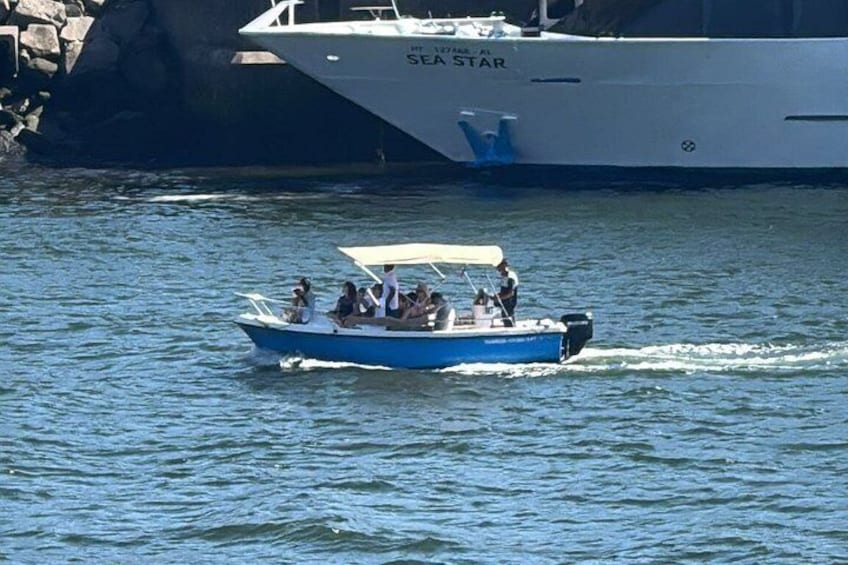 Porto:Douro River Boat tour under the 6 bridges 3