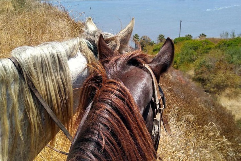 Adventure Delight The Ultimate Combo Ride at Desert Trails 2