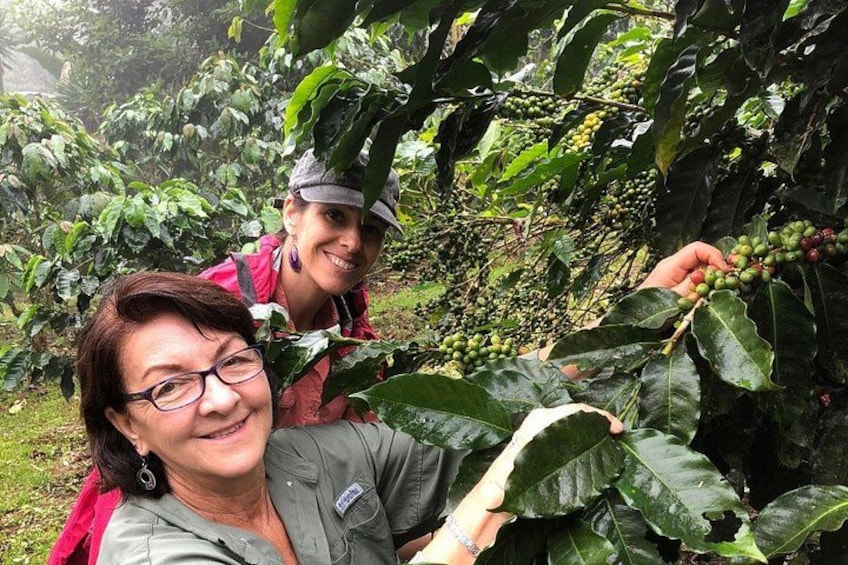 Uvita Coffee Tour 1
