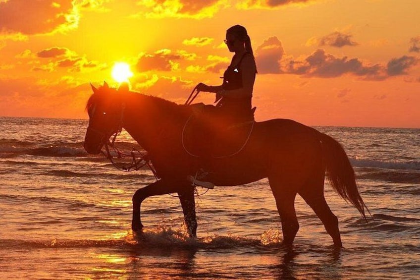 A person riding a horse on a beach at sunset. 4