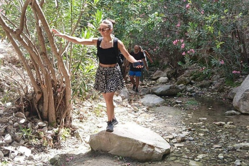 Una persona caminando por un sendero rocoso, con un árbol a la izquierda y un arroyo a la derecha. 5