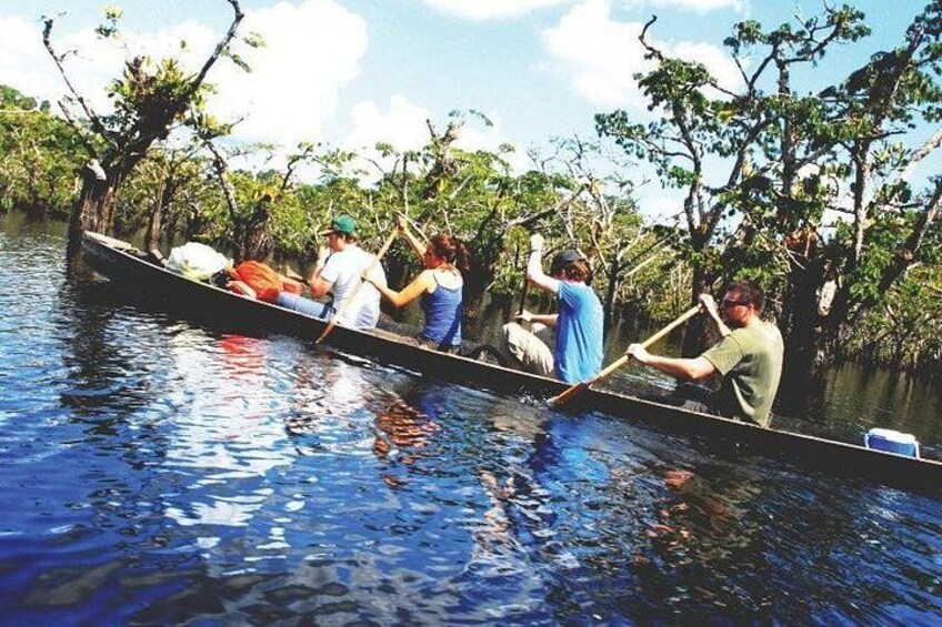 A group of people paddling a canoe through a waterway surrounded by trees. 3