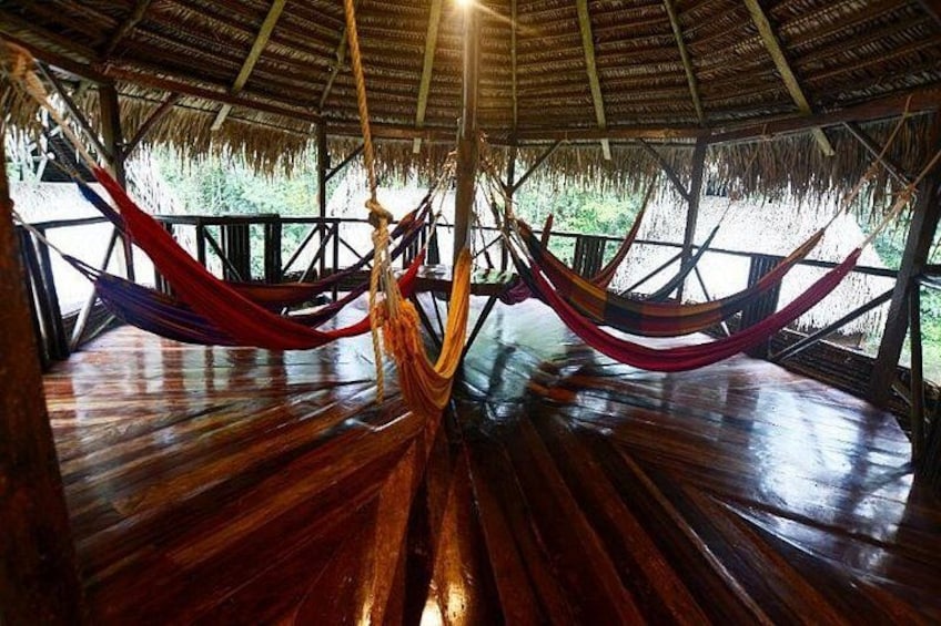 A wooden structure with a thatched roof, a hammock hanging from the ceiling, and a wooden deck. 5
