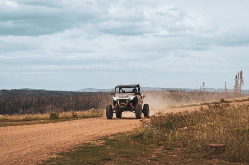 A vehicle driving on a dirt road in a forested area. 5