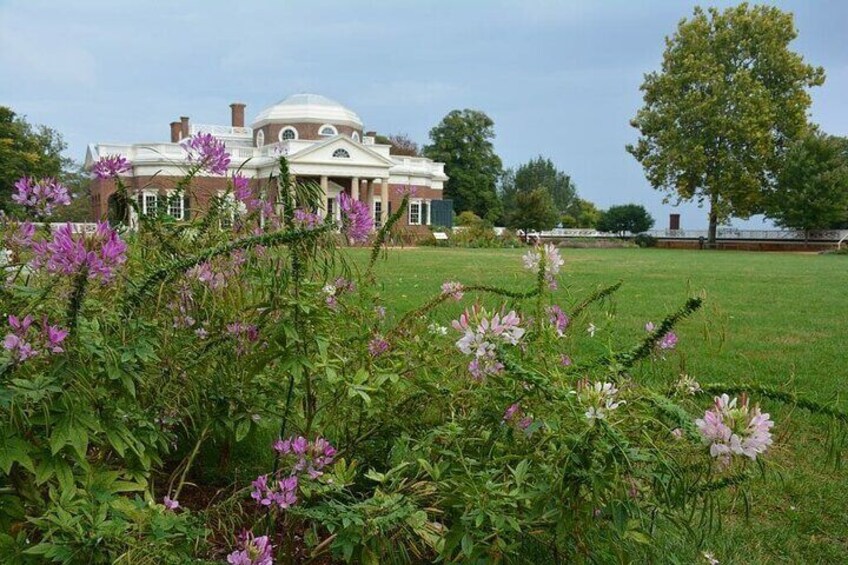 A large brick building with a dome and columns, surrounded by a grassy field and purple flowers. 3