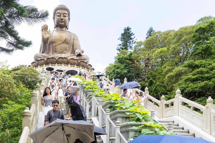 Best Seller: VIP Lantau Tai O Tour Priority Cable Car, Big Buddha 2