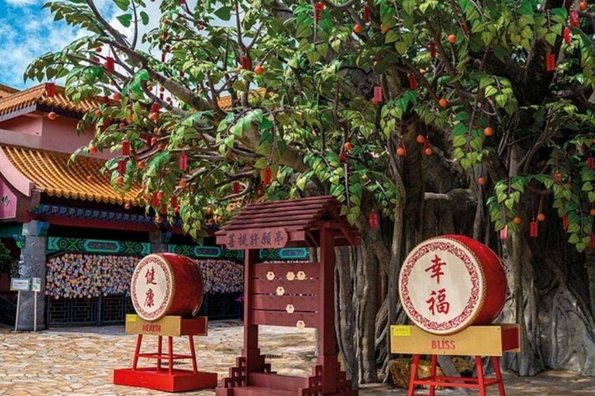 Best Seller: VIP Lantau Tai O Tour Priority Cable Car, Big Buddha 4