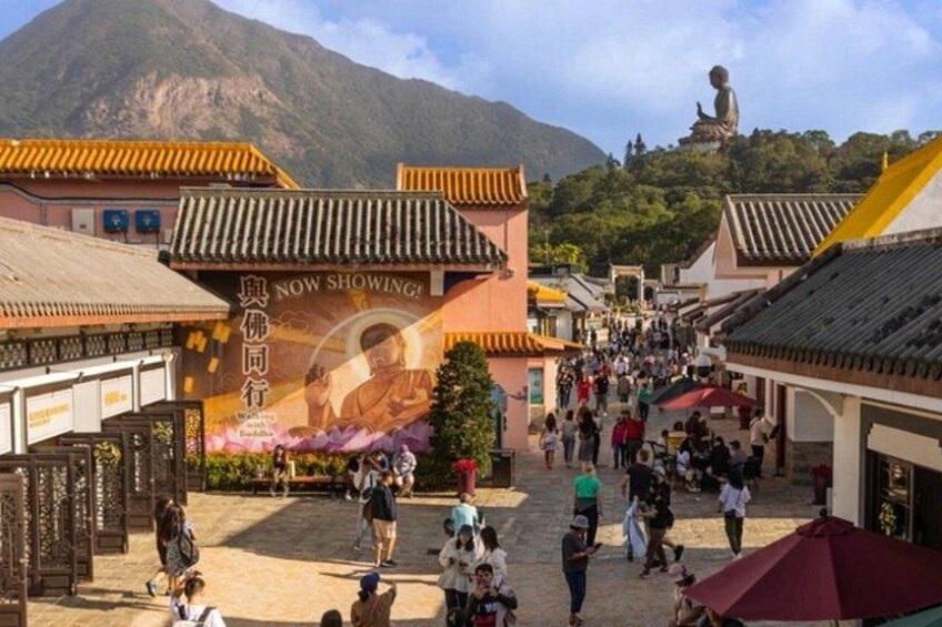 Best Seller: VIP Lantau Tai O Tour Priority Cable Car, Big Buddha 3