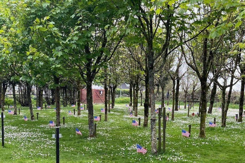 Un cimetière avec des arbres et des drapeaux américains. 3