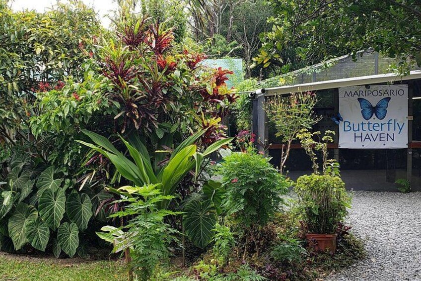 Ein Garten mit verschiedenen Pflanzen und einem Schild für Mariposario Butterfly Haven. 4