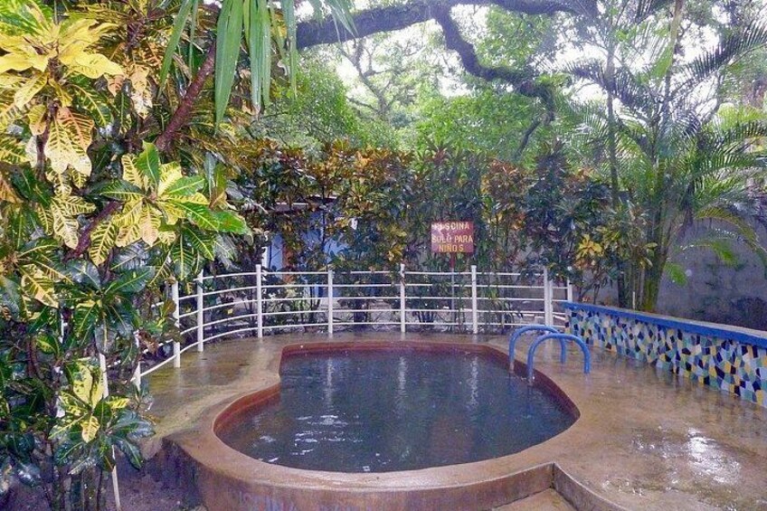 Ein kreisrunder Pool mit weißem Zaun und blauer Reling, umgeben von üppigem Grün. 5