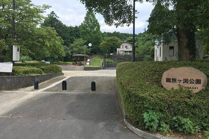 A road leading to a park entrance with a signboard, a hedge, and a building in the background. 3