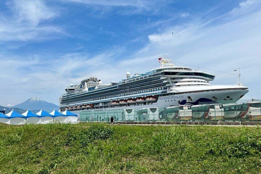 A large cruise ship named 'Diamond Princess' docked at a port with a mountainous background. 2