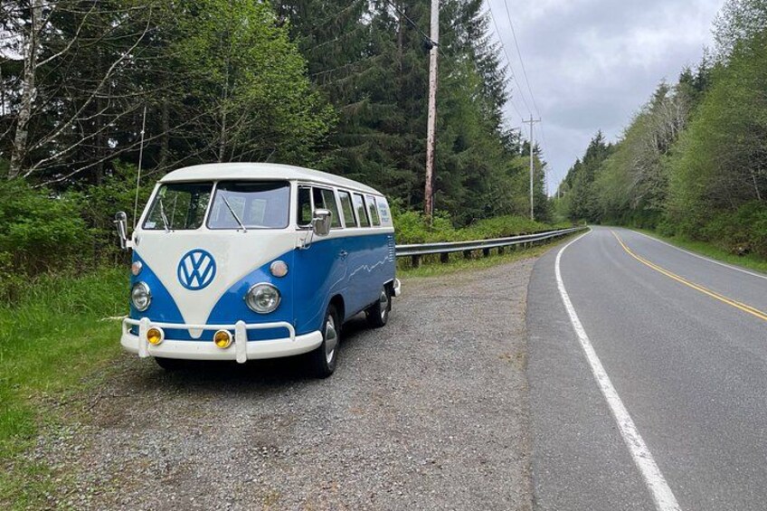 Private Ketchikan Tour in '67 VW Van 4
