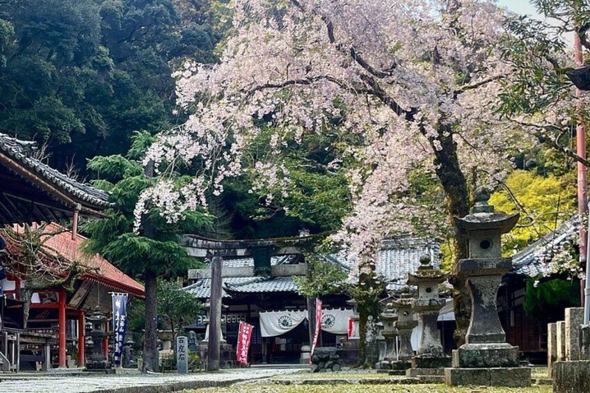 Ryuanji Temple 4