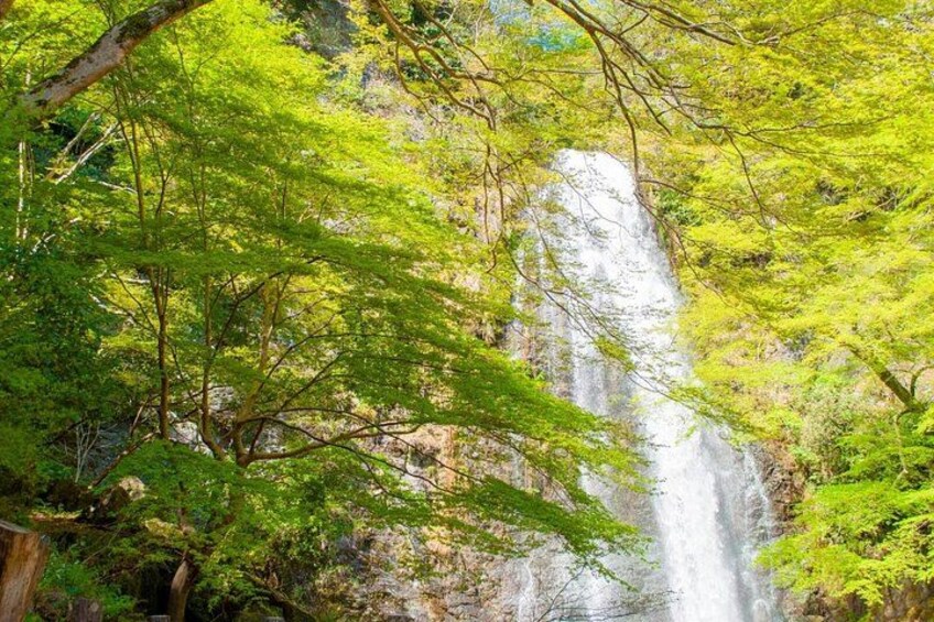 Minoh falls 5