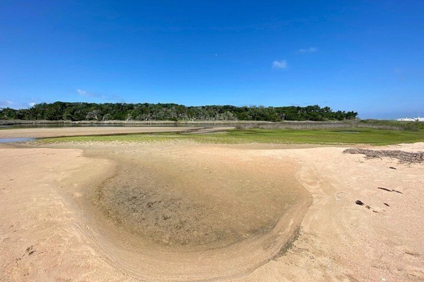 A not so crowded sound side beach on Shackleford banks area 2