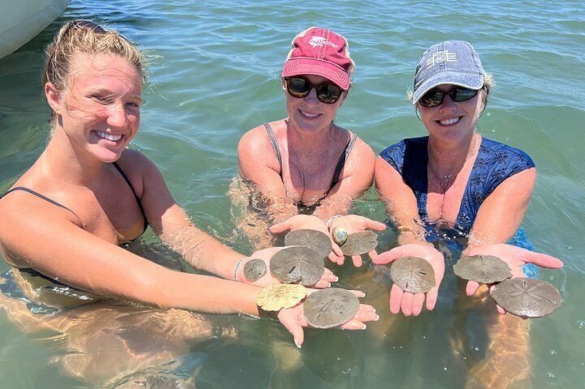 Sand dollars, the darker ones are alive and we typically don’t keep them…. Just the whiter colored ones which aren’t living. 1
